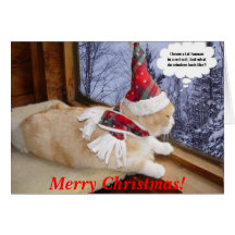 Waiting for Santa Greeting Cards