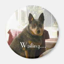 Waiting... Magnets