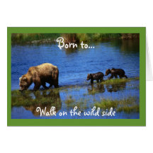 Walk on the Wild Side - Bears Greeting Cards