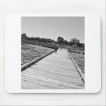 Walking at the Park Mousepad