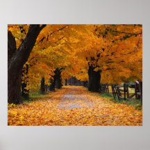 Walking Down Autumn's Memory Lane Posters