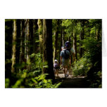 Walking in the woods greeting cards