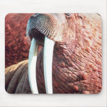 Walrus Mouse Pad