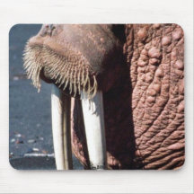 Walrus Mouse Pads