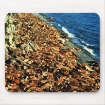 Walrus Mousepads
