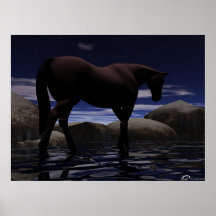 Wandering Print