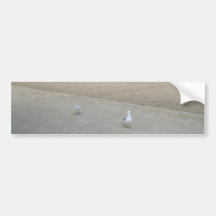 Wandering Seagulls Bumper Stickers