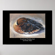 Wandering Whistling Duck Print