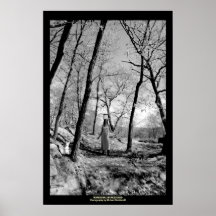 Wandering Wonderland Print