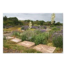 War cemetery art photo