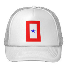 WAR MOTHERS FLAG 1 HATS