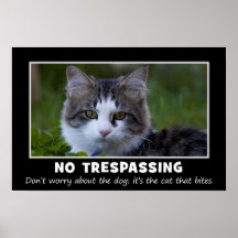Warning to All Trespassers and Solicitors (L) Poster