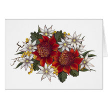 Warratha Flannel Flower Greeting Card