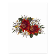 Warratha Flannel Flower Postcards