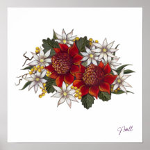 Warratha Flannel Flower Posters