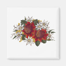 Warratha Flannel Flower Refrigerator Magnet