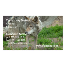 Wary Wolf Business Cards
