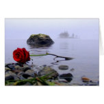 Washed Ashore Red Rose Greeting Cards