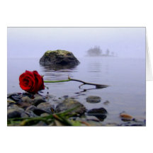 Washed Ashore Red Rose Greeting Cards