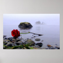 Washed Ashore Red Rose Posters