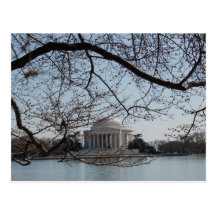 Washington DC in the Spring Post Card