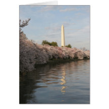 wasington monument cherry blossom cards