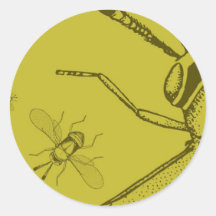 Wasp, Aphycus Annulipes Round Sticker