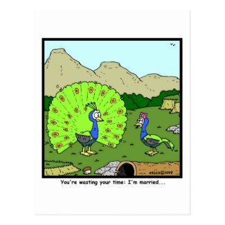 Wasting your time: Peacock Cartoon Postcard