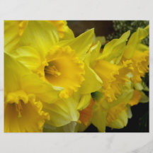 Watchers in Yellow Flyer