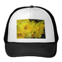 Watchers in Yellow Hat