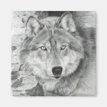 Watchful Eyes Wolf Magnet