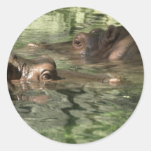 Watchful Hippos Stickers