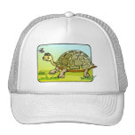 Watchful Turtle Hat