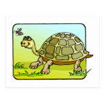 Watchful Turtle Post Card