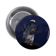 Watchful vulture pinback button