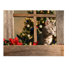 Watching for Santa Postcard