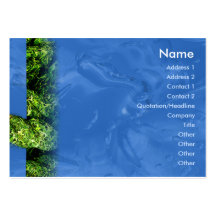 Water and Grass - Chubby Business Card