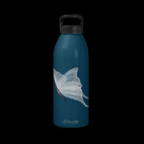 water bottle butterfly water bottles