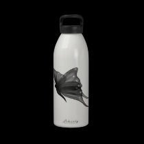 water bottle butterfly water bottles