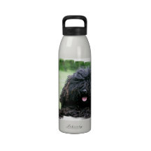 Water Bottle - Customised