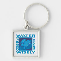Water Conservation Key Chain