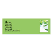 Water Dragon Business Card