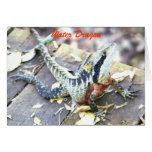 Water Dragon Greeting Cards