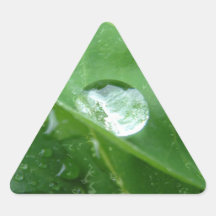 Water Drip on Leaf Water Conservation Design Triangle Stickers
