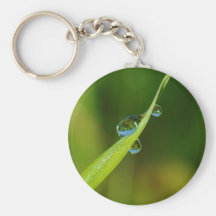 Water Droplets on a Green Blade of Grass Key Chain