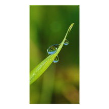 Water Droplets on a Green Blade of Grass Customized Photo Card