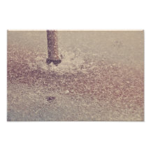 Water drops photo