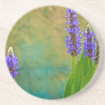 Water Hyacinth Drink Coaster