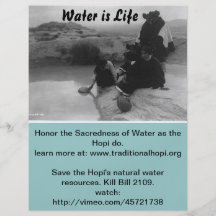 Water is Life flyer