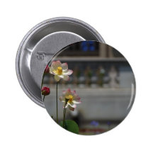 Water Lillies Lilly Pins